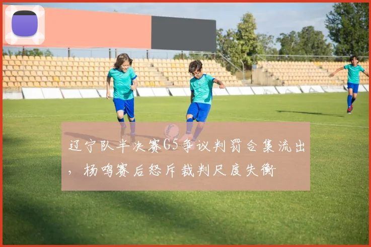 辽宁队半决赛G5争议判罚合集流出，杨鸣赛后怒斥裁判尺度失衡