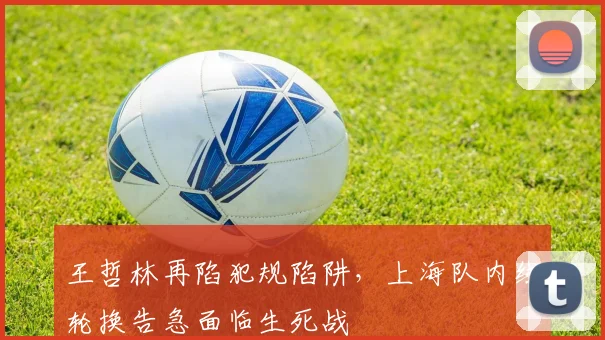 王哲林再陷犯规陷阱，上海队内线轮换告急面临生死战